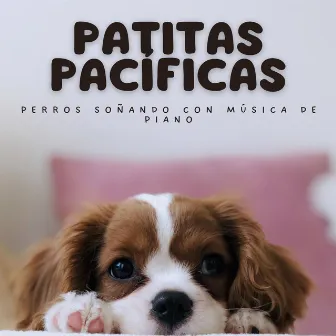 Patitas Pacíficas: Perros Soñando Con Música De Piano by Música para perros de moda