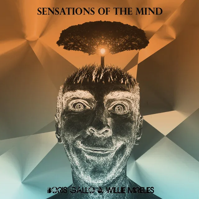 Sensations of the Mind