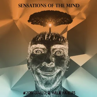 Sensations of the Mind by Boris Gallo