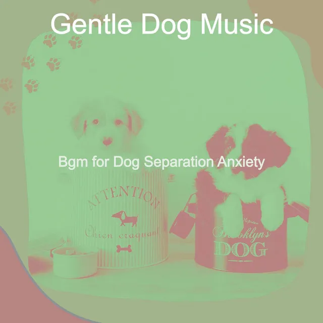 Bgm for Dog Separation Anxiety