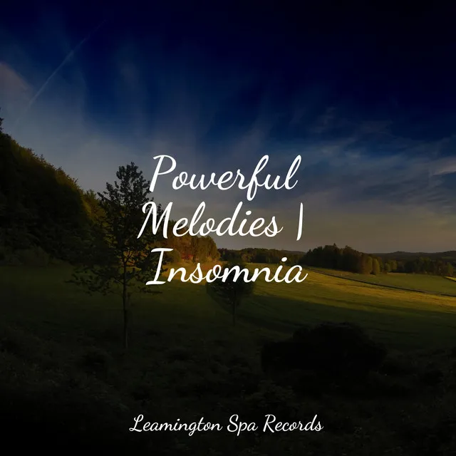 Music for Meditation and Relaxation