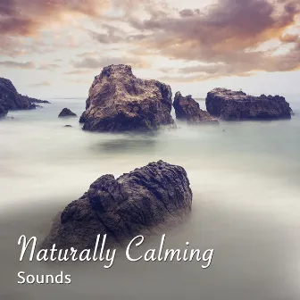 #1 Hour of Naturally Calming Sounds to Ease Relaxation & Meditation by Relaxing Music for Meditation