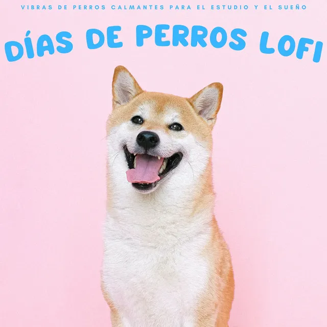 Patitas & Beats Lofi: Vibras De Perros Calmantes Para El Estudio Y El Sueño