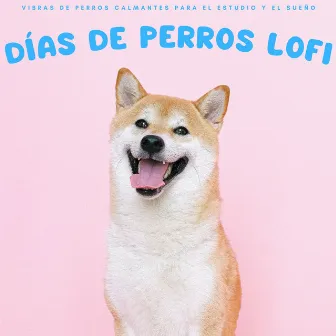 Patitas & Beats Lofi: Vibras De Perros Calmantes Para El Estudio Y El Sueño by Sonidos que los Perros Aman