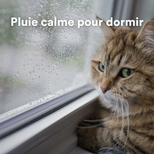 Pluie calme pour dormir