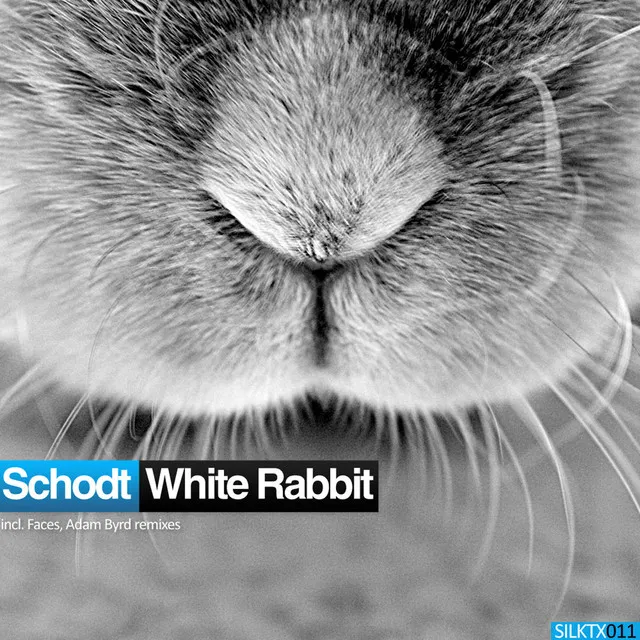 White Rabbit - Adam Byrd Remix