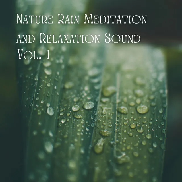 Meditative Rainfall: Nature's Relaxing Symphony