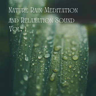 Meditative Rainfall: Nature's Relaxing Symphony by Rain Sounds Studio