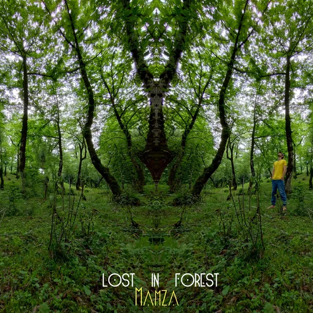 Lost In Forest