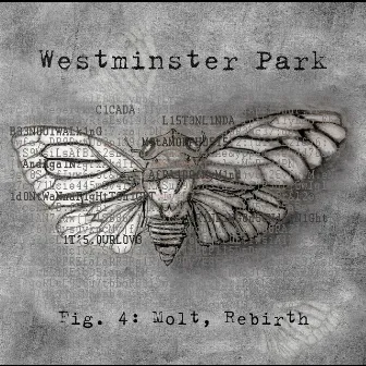 Fig. 4: Molt, Rebirth by Westminster Park