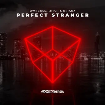 Perfect Stranger by Briana