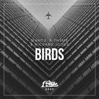 Birds by R-Theme