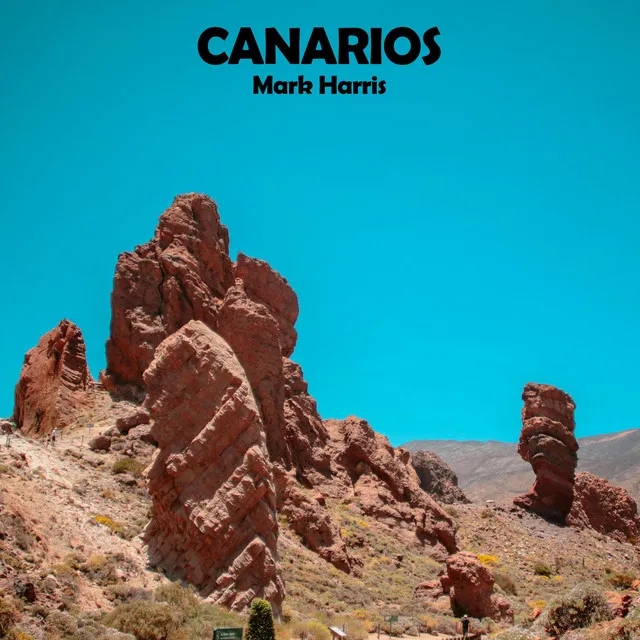 Canarios