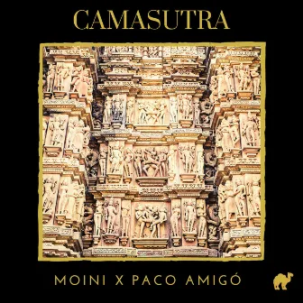 Camasutra by Paco Amigó