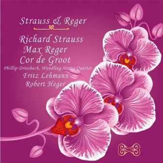 Strauss & Reger by Cor de Groot