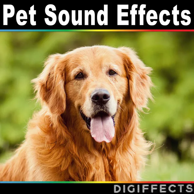 Digiffects Sound Effects Library