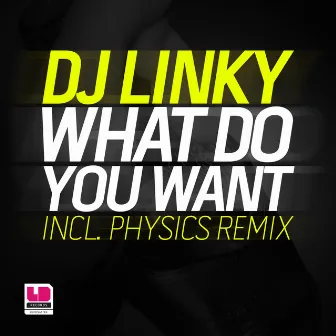 What Do You Want From Me by Linky