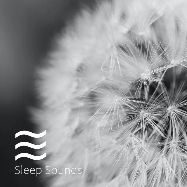 White noise murmurs for a better sleep