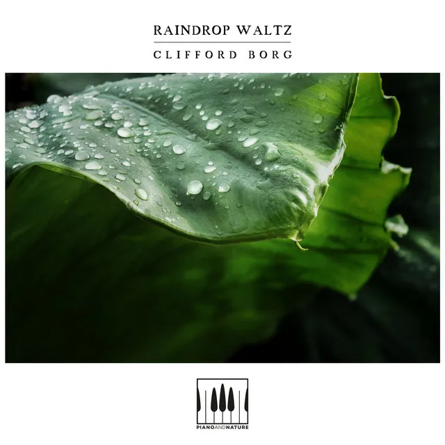 Raindrop Waltz