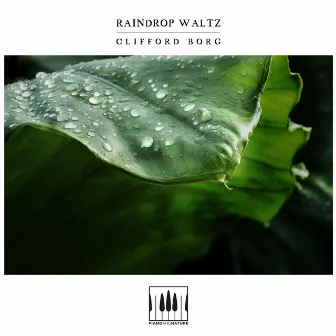 Raindrop Waltz by Clifford Borg