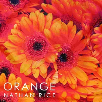 Orange by Nathan Rice