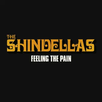 Feeling the Pain by The Shindellas