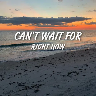 Can’t Wait For Right Now by MCRE