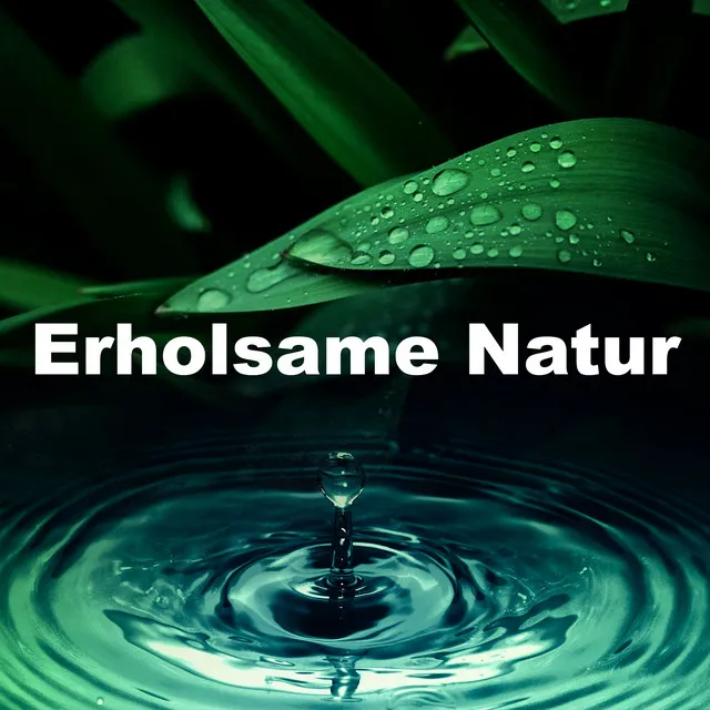 Erholsame Natur