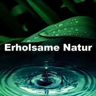 Erholsame Natur by Naturgeräusche für Entspannung und Erholung