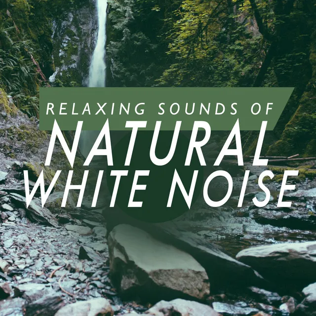 White Noise: Slow Waves