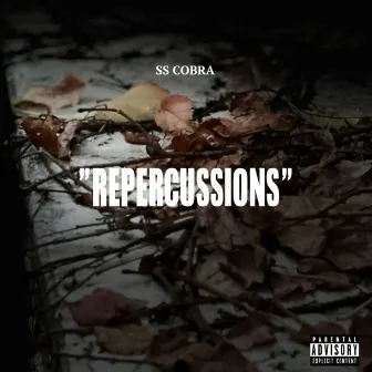 Repercussions by SS COBRA