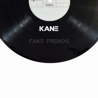 Fake Friends by Kane