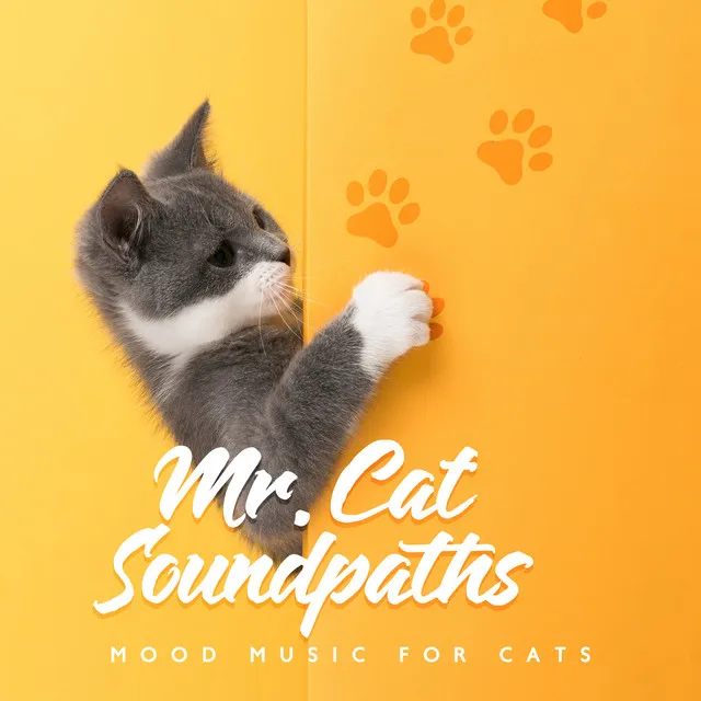 Mr. Cat Soundpaths: Mood Music for Cats - Pleasant Support for Feline Activities: Sleep, Rest and Play, Pet Care