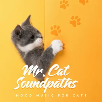 Mr. Cat Soundpaths: Mood Music for Cats - Pleasant Support for Feline Activities: Sleep, Rest and Play, Pet Care by Pet Music Doctor