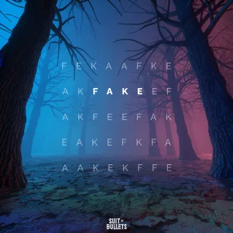 Fake by Collin Jax