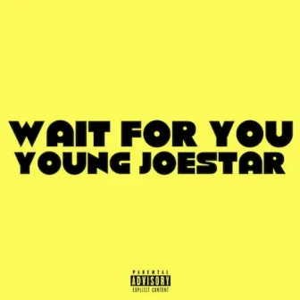 Wait For You by Young Joestar