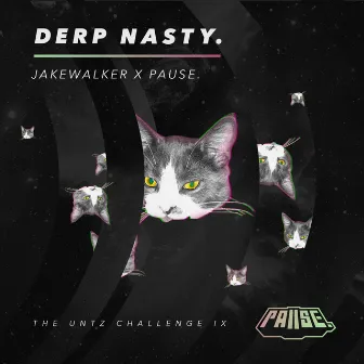 Derp Nasty by Pause.