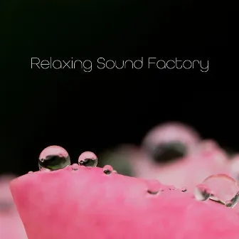 Relaxing Sound Factory by Relaxing Sound Factory