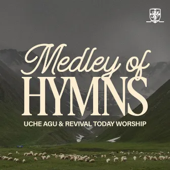 Medley of Hymns (Live) by Uche Agu