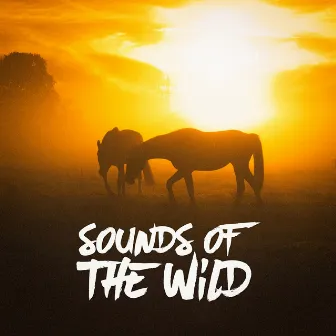 Sounds of the Wild by Nature's Sonic Environments and Sounds