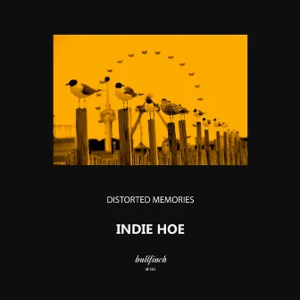 Indie Hoe by Distorted Memories