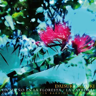 森に夢見る～大聖堂～バリオス練習曲集 by Daisuke Suzuki