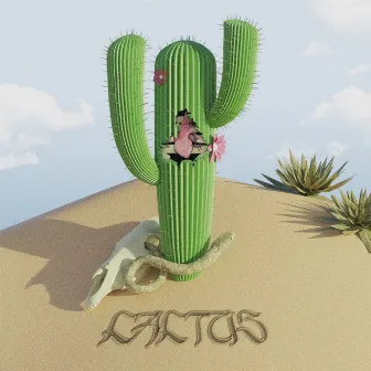 Cactus by Adri