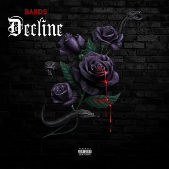 Decline by La Bands