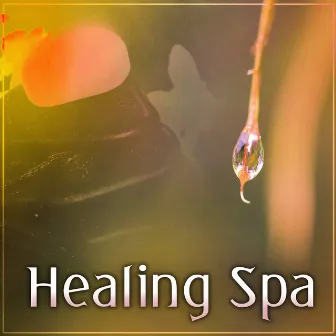 Healing Spa – Spa Sanctuary, Ambient New Age Music for Wellness by Calm Spa Universe