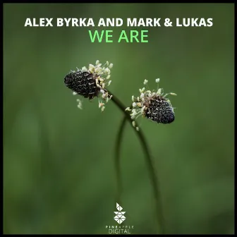 We Are by Alex Byrka