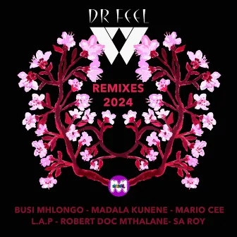 Dr Feel M2KR Remixes 2024 by Busi Mhlongo