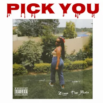 Pick You by Zigga the Main