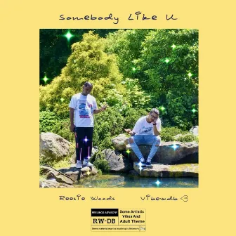 Somebody Like U by VibewdB