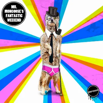 Mr Mongoose's Fantastic Weekend EP by Unknown Artist